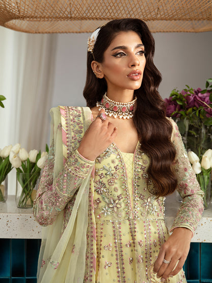 Noura-GL-LP-24V2-35