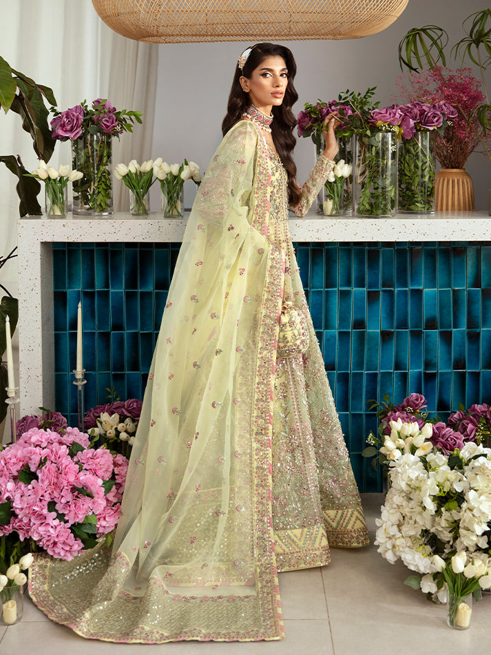 Noura-GL-LP-24V2-35