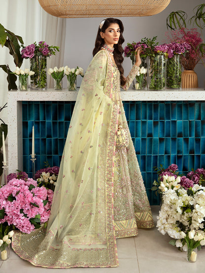 Noura-GL-LP-24V2-35