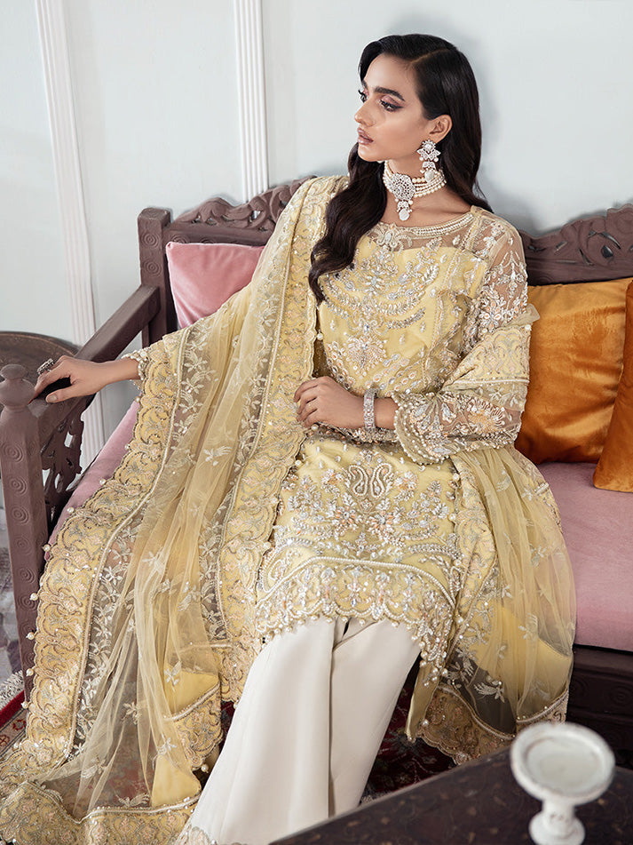 Mahjabeen Embroidered Net 3-Piece Suit WS-17