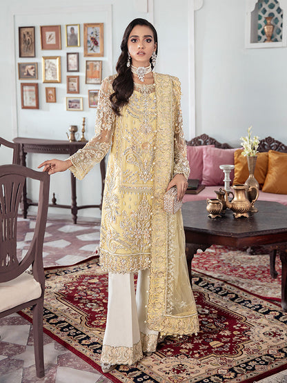 Mahjabeen Embroidered Net 3-Piece Suit WS-17