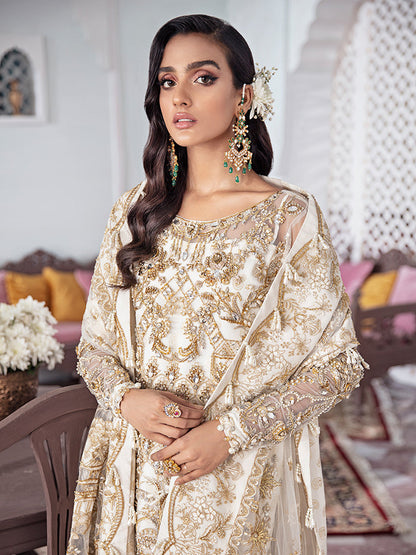Shehnaz Embroidered Net 3-Piece Suit WS-11