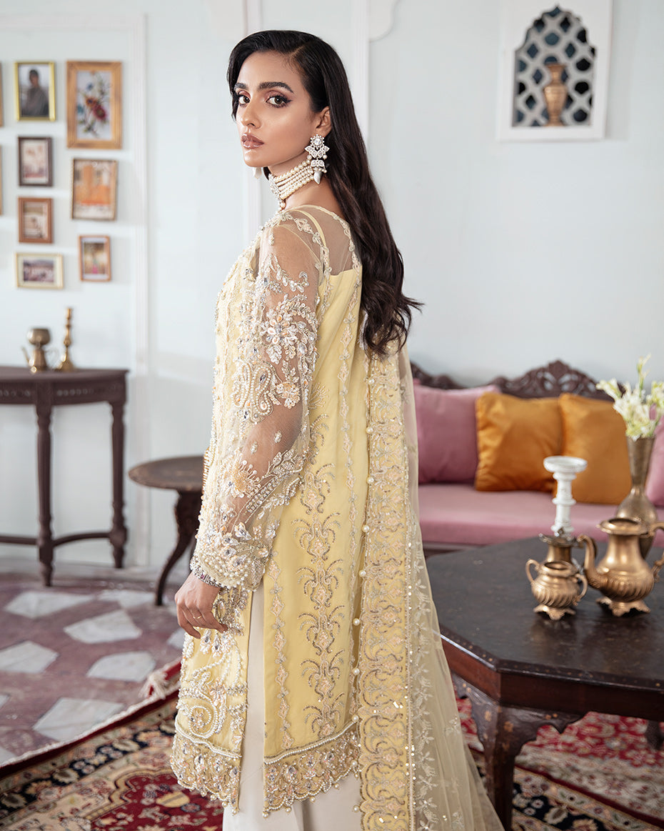 Mahjabeen Embroidered Net 3-Piece Suit WS-17 - Meherma Wedding Formals Collection