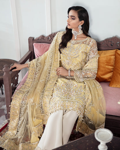 Mahjabeen Embroidered Net 3-Piece Suit WS-17 - Meherma Wedding Formals Collection